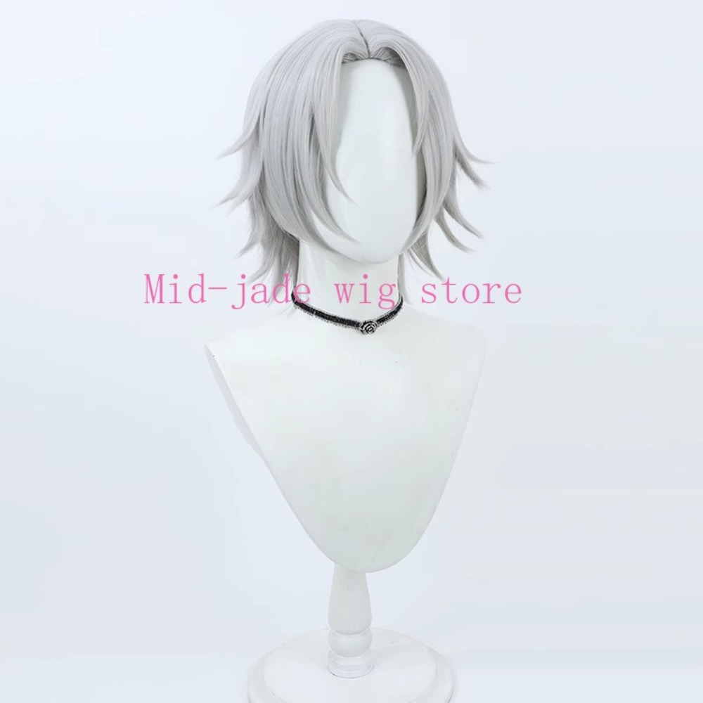 Hayato Gokudera Cosplay Wig Si - Photography Japanese review and price